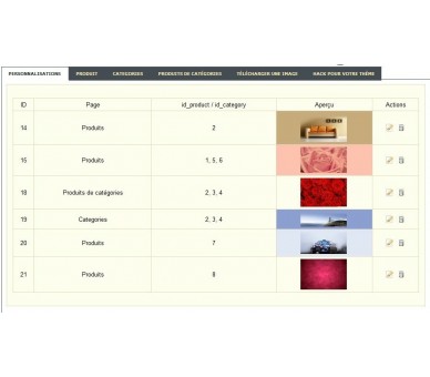 Personalización de páginas y categorías de productos