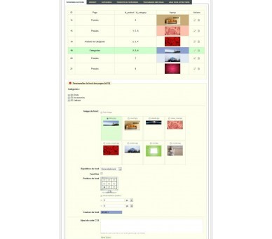 Personalización de páginas y categorías de productos