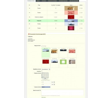 Personnalisation de pages catégories et produits