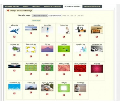Personalización de páginas y categorías de productos
