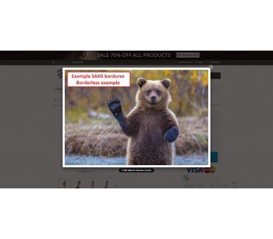 Gestionnaire d'images et de miniatures