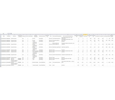 CSV accounting report in excel CSV accounting report in excel