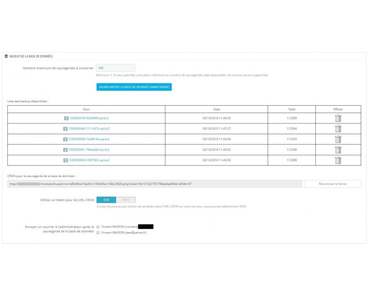 Copia de seguridad SQL (manual/CRON/correo)