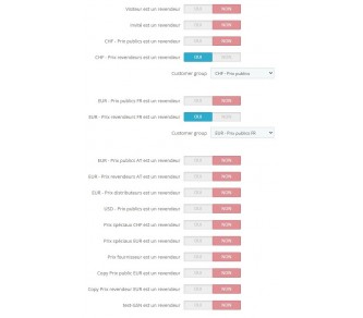 Personnalisation du module liste des déclinaisons