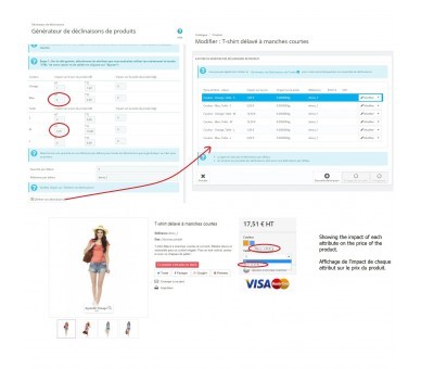 Impact on the price for each attribute