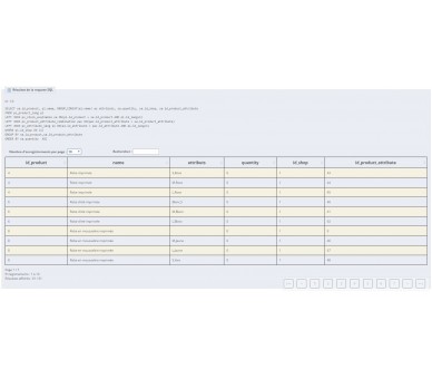 Big Data - les données SQL en CSV avec facilité